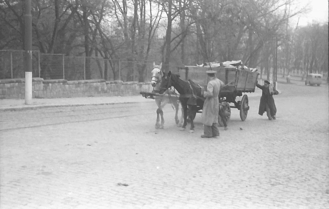 Horse cart at the entrance of the Bucharest Botanical Garden in Cotroceni, photographed by Willy Pragher, 1942