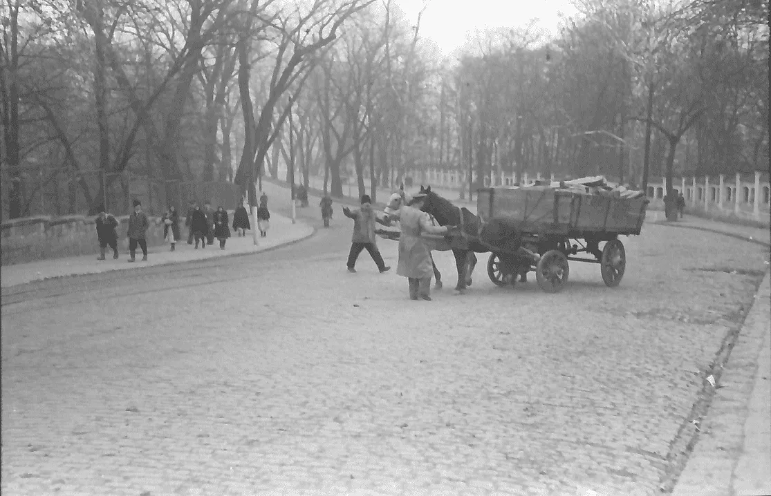 Another view of the Bucharest Botanical Garden entrance in Cotroceni, photographed by Willy Pragher, 1942