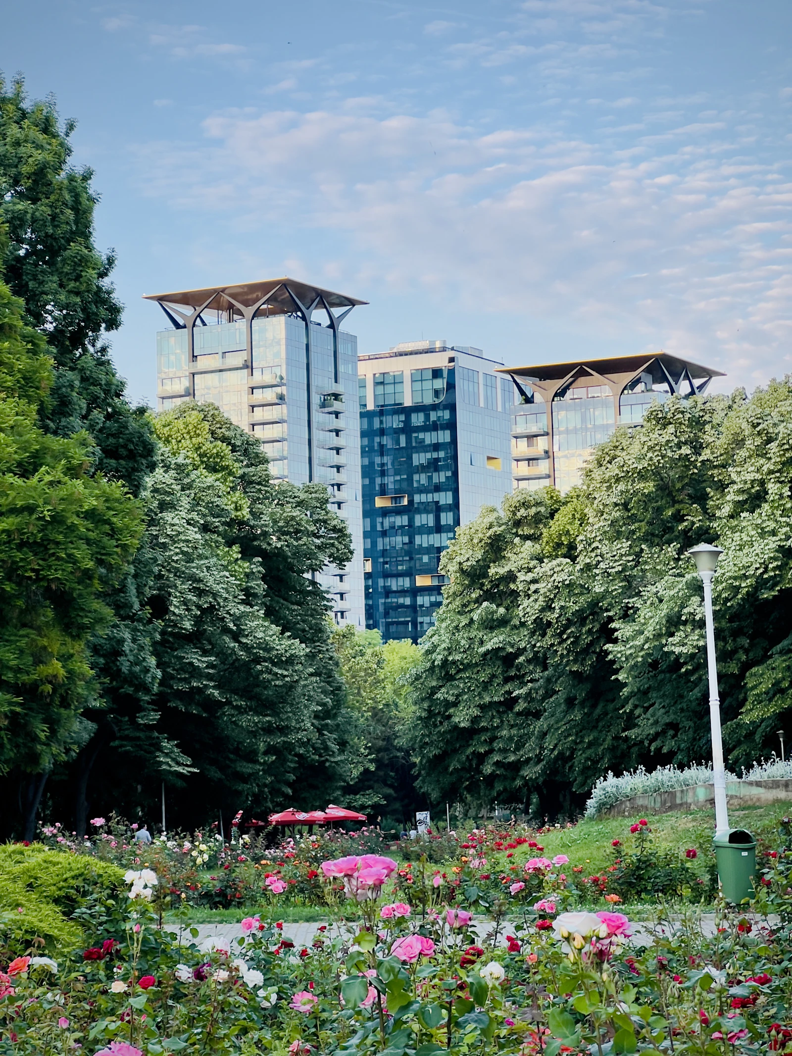 Floreasca