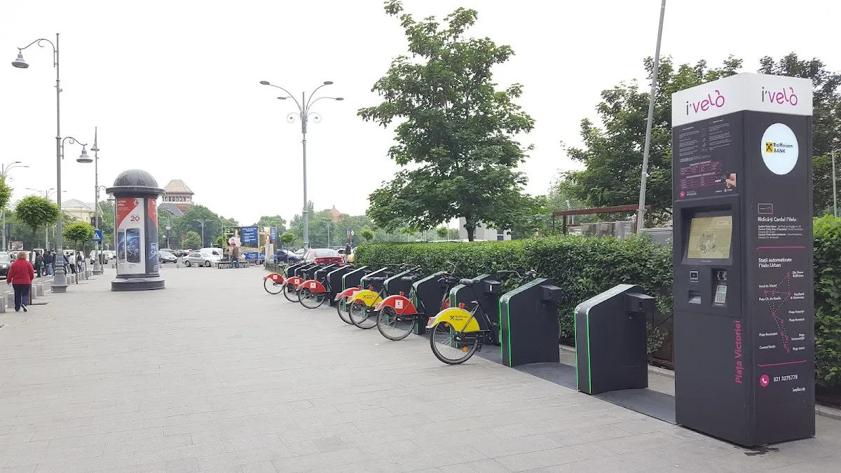 Calea Victoriei Bike Lane
