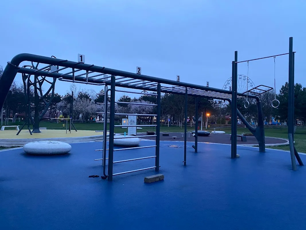 Tineretului Calisthenics Park