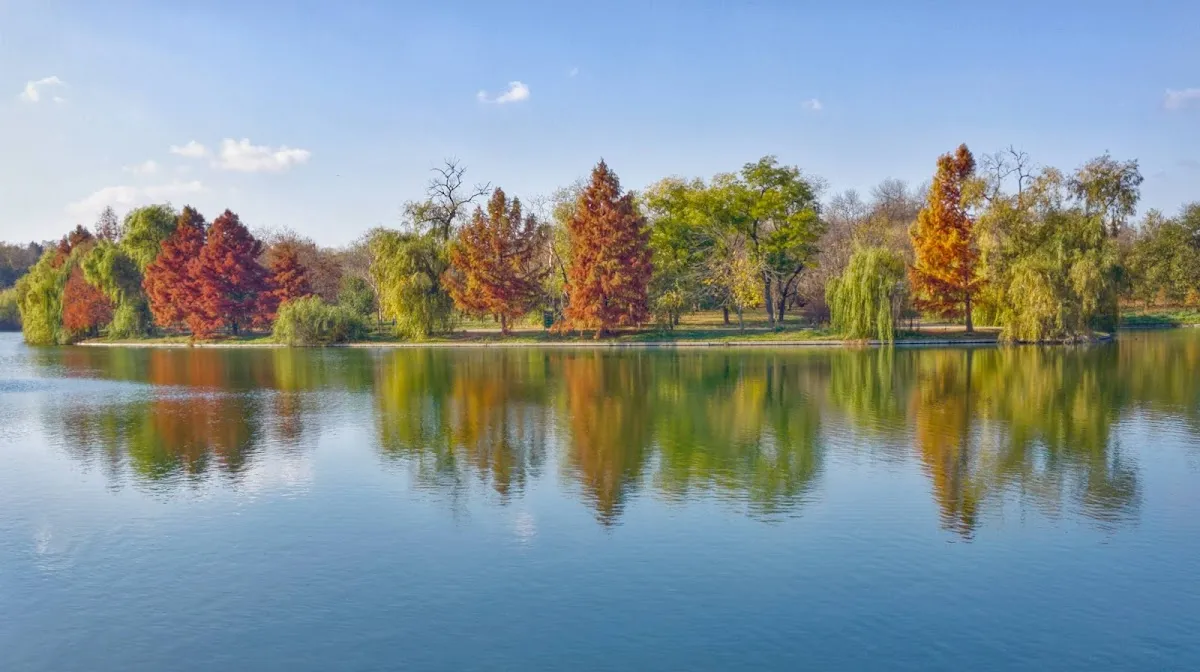 Tineretului Park